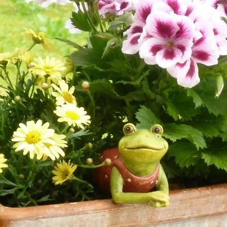 Basler - Het Kleine Vakantiegeluk